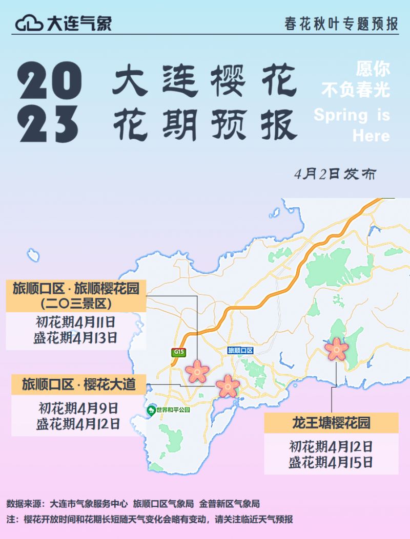 旅顺203樱花园门票多少钱 旅顺203樱花园樱花几月份开