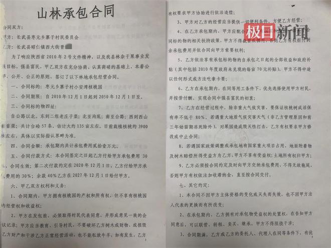 陕西长武百亩核桃树被砍：官方称承包方与村委会合同效力存疑，专家建议相互起诉