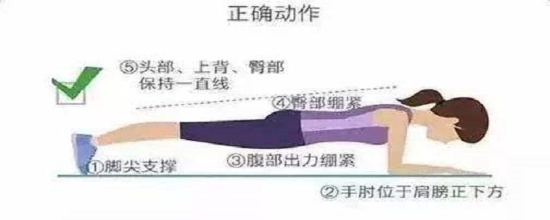 平板支撑减肚子吗? 平板支撑减肚子吗