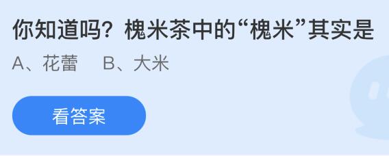 槐米茶中的槐米其实是花蕾还是大米呢 槐米茶中的槐米其实是花蕾还是大米