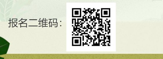 津彩假日21天打卡生活小妙招 2023“津彩假日