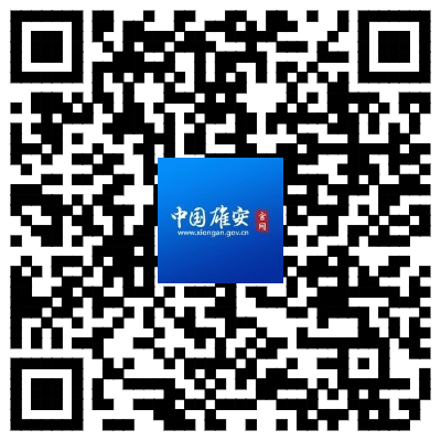 2023雄安新区新建片区招聘教师公告 2023雄安新区新建片区招聘教师